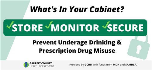 Infographic highlighting the store monitor secure campaign from the GCHD.